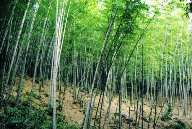 北橫之星 Đào Viên Ngoại thất bức ảnh